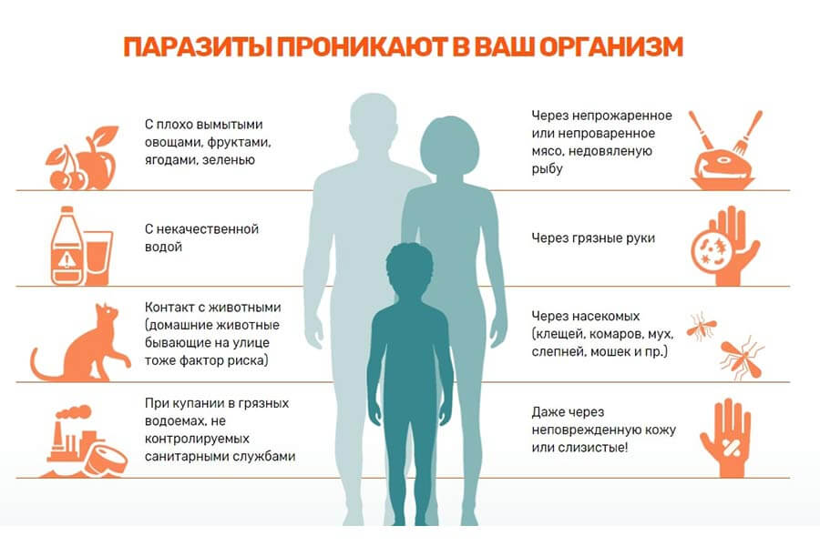 Как паразиты проникают в организм ребенка