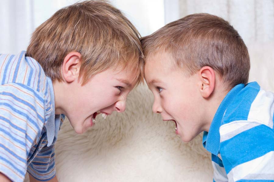 Конфликтные дети