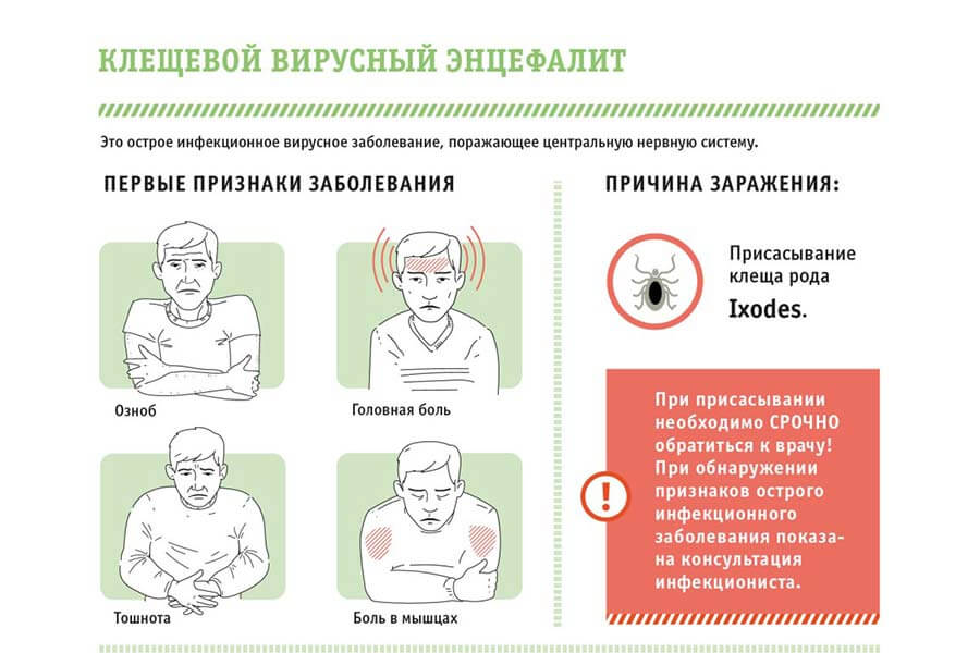 Симптомы энцефалита