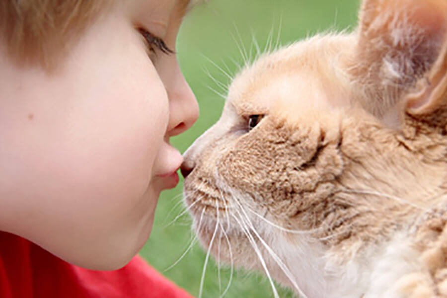 Заражение ребенка лишаем